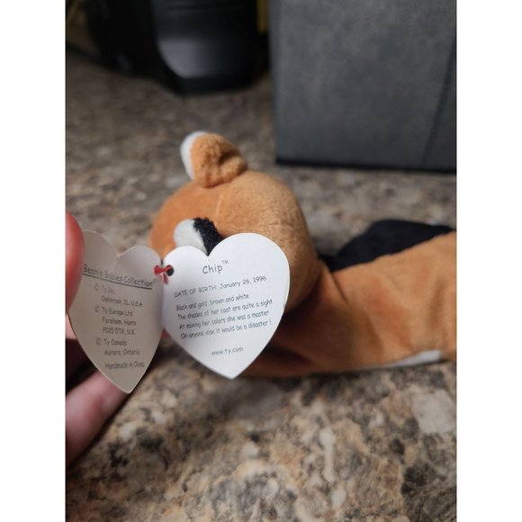 TY beanie baby CHIP - Picture 5 of 6
